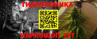 прущие грибы Новодвинск
