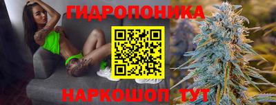 каннабис Новокубанск